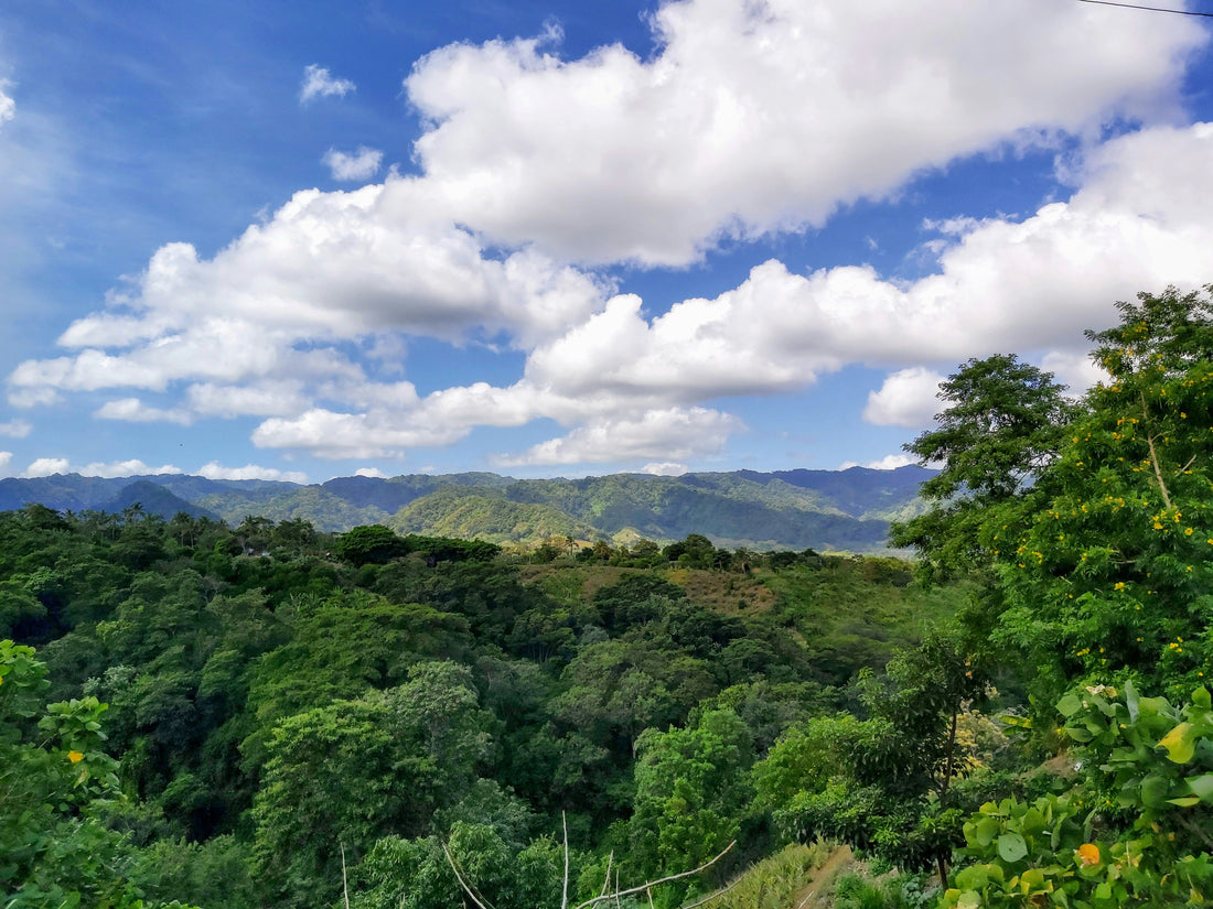 Nicaragua Coffee: The Underrated Origin That Belongs in Every Serious Specialty Lineup