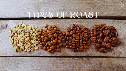 Light, Medium, and Dark Roast Coffee: What's the Real Difference?