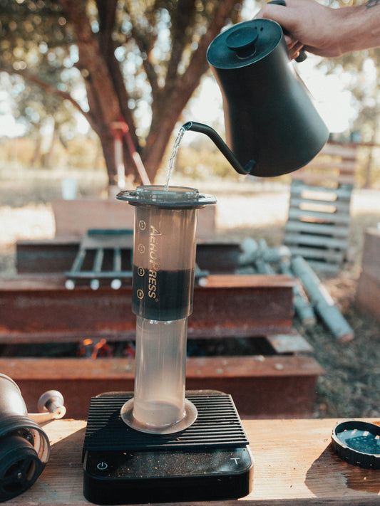 AeroPress Travel Brewing Guide: Specialty Coffee Anywhere in the World