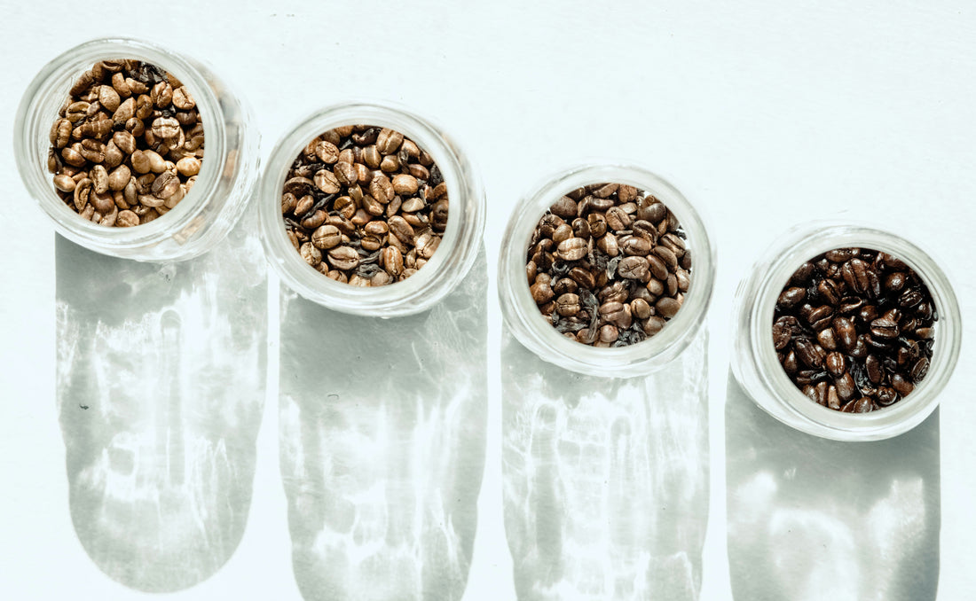 The Science of Coffee Extraction: Why Your Brew Tastes the Way It Does