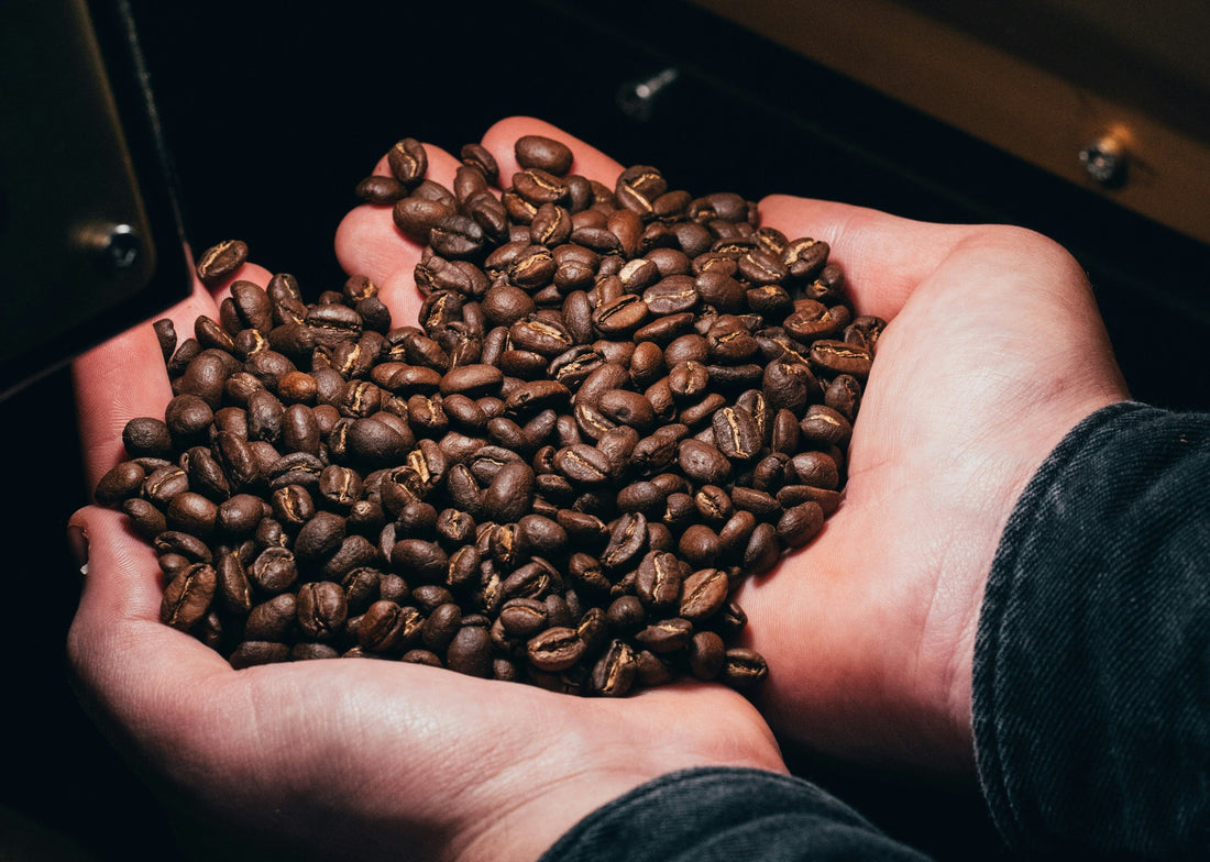 Fresh Roasted Coffee Delivered to Your Door: How the Pure Earth Process Actually Works