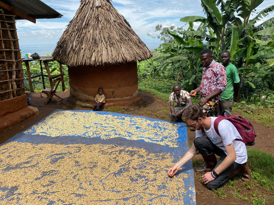 Ethiopia Yirgacheffe Deep Dive: Why This Region Produces the World's Most Distinctive Coffee