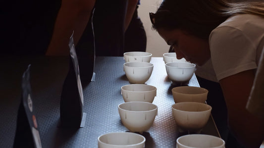 Coffee Tasting Notes Explained: How to Actually Taste Chocolate, Fruit, and Florals in Your Cup