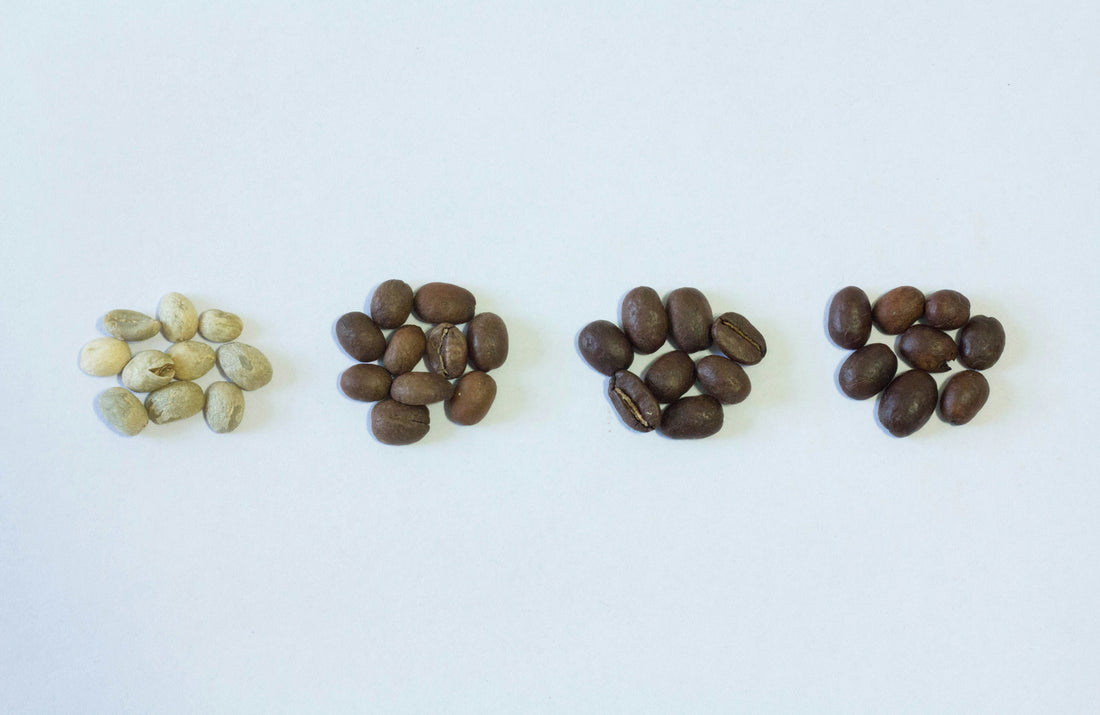 Light vs. Medium vs. Dark Roast: What Actually Changes and What Doesn’t
