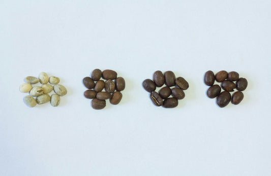 Light vs. Medium vs. Dark Roast: What Actually Changes and What Doesn’t