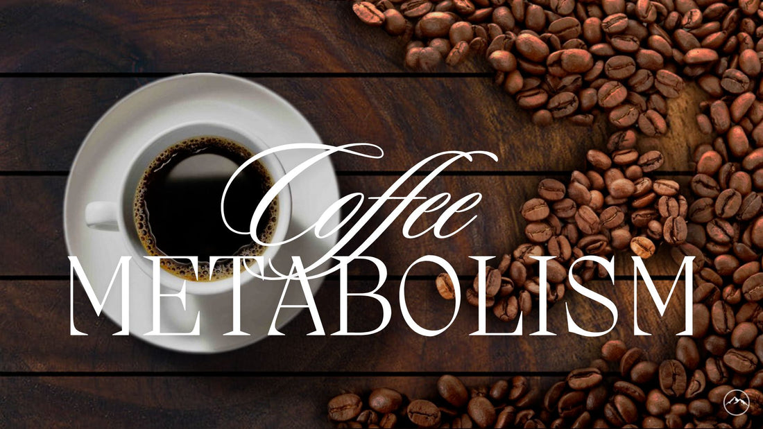 Coffee Metabolism