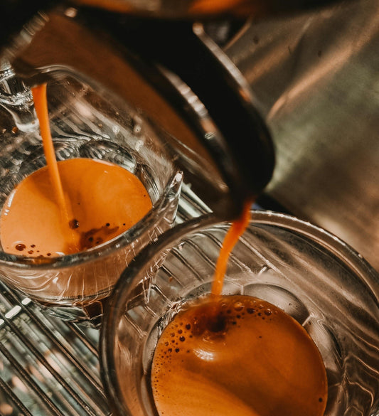 How Coffee Actually Affects Your Workout Performance: The 2026 Science
