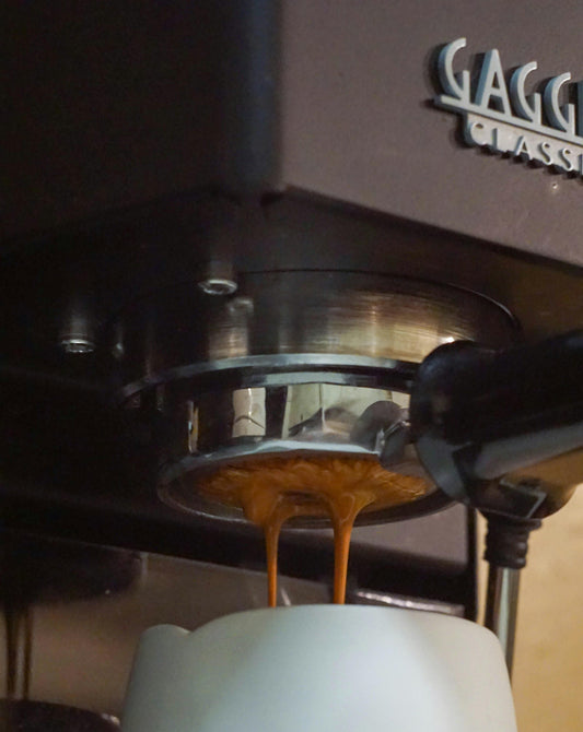 Gaggia Classic Pro Review: The Espresso Machine That Punches Way Above Its Price