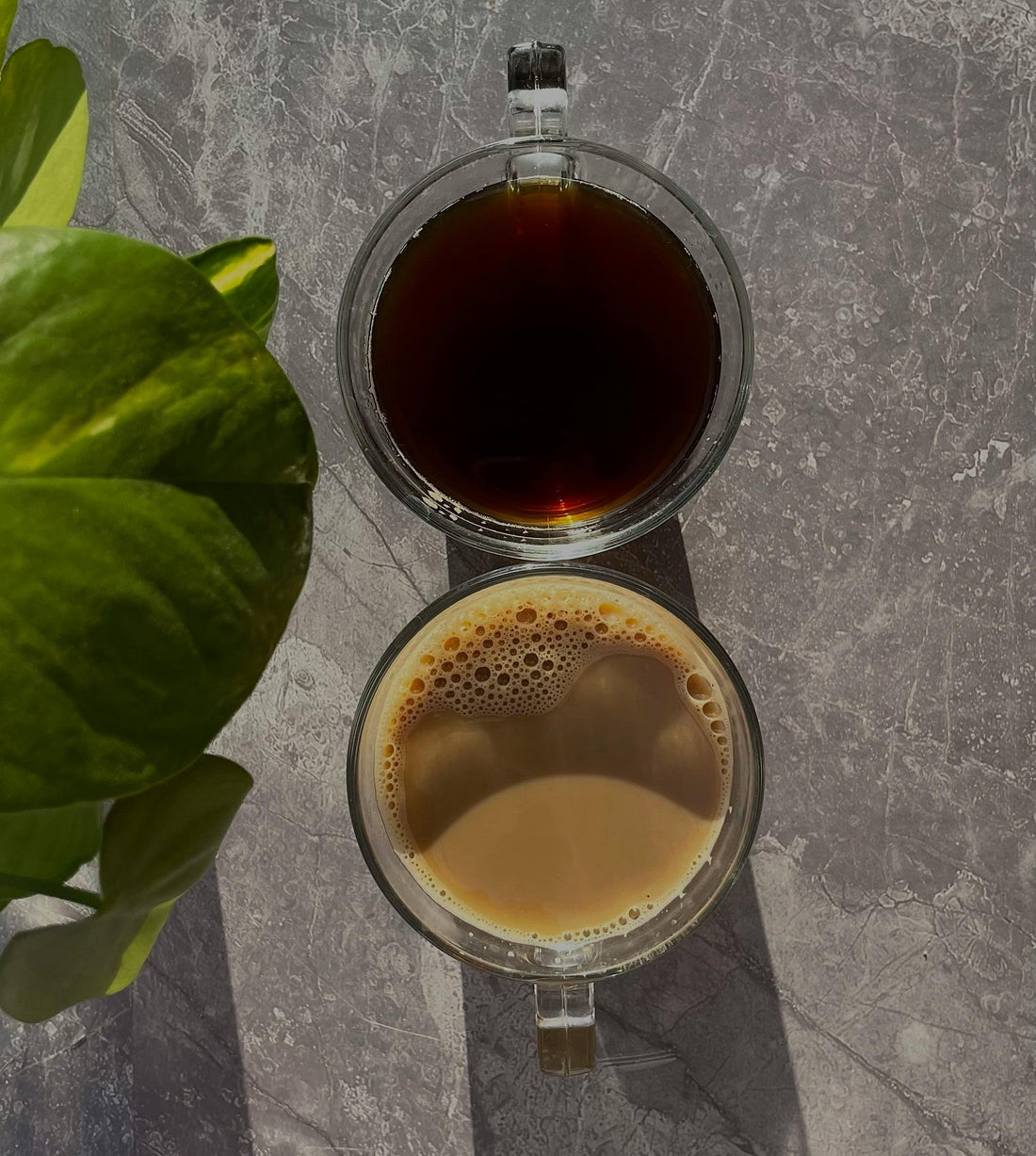 What Is the Difference Between Specialty Coffee and Regular Coffee? The Honest Answer