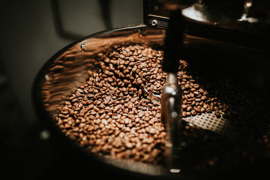 Micro-Lot Coffee Explained: Why These Tiny-Batch Coffees Command Premium Prices