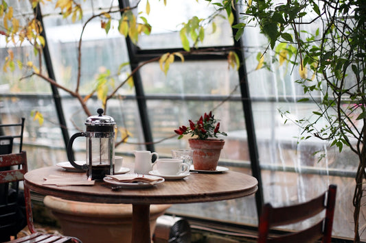 The Guest Experience Playbook: How to Turn First-Time Visitors Into Lifelong Regulars