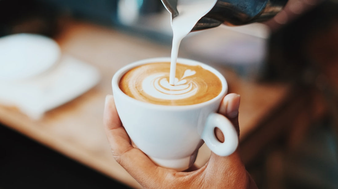 What Is Coffee Variety? Gesha, Bourbon, Typica and Why It Matters