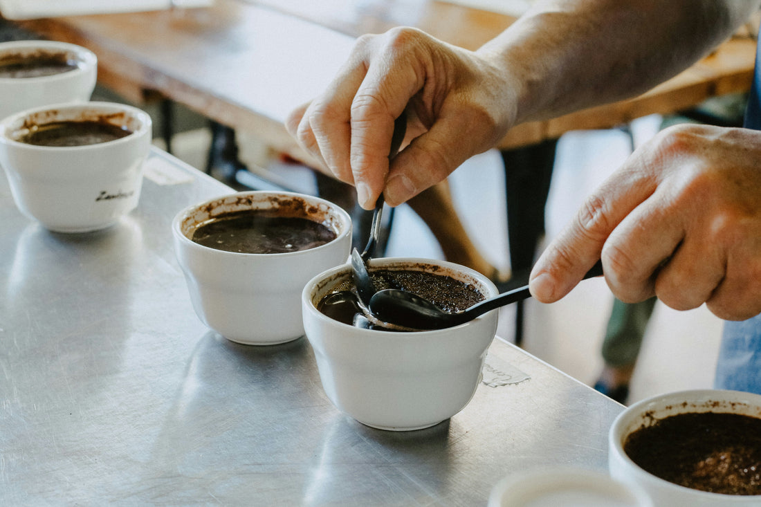 How to Cup Coffee Like a Professional at Home: The Tasting Method That Trains Your Palate Fast