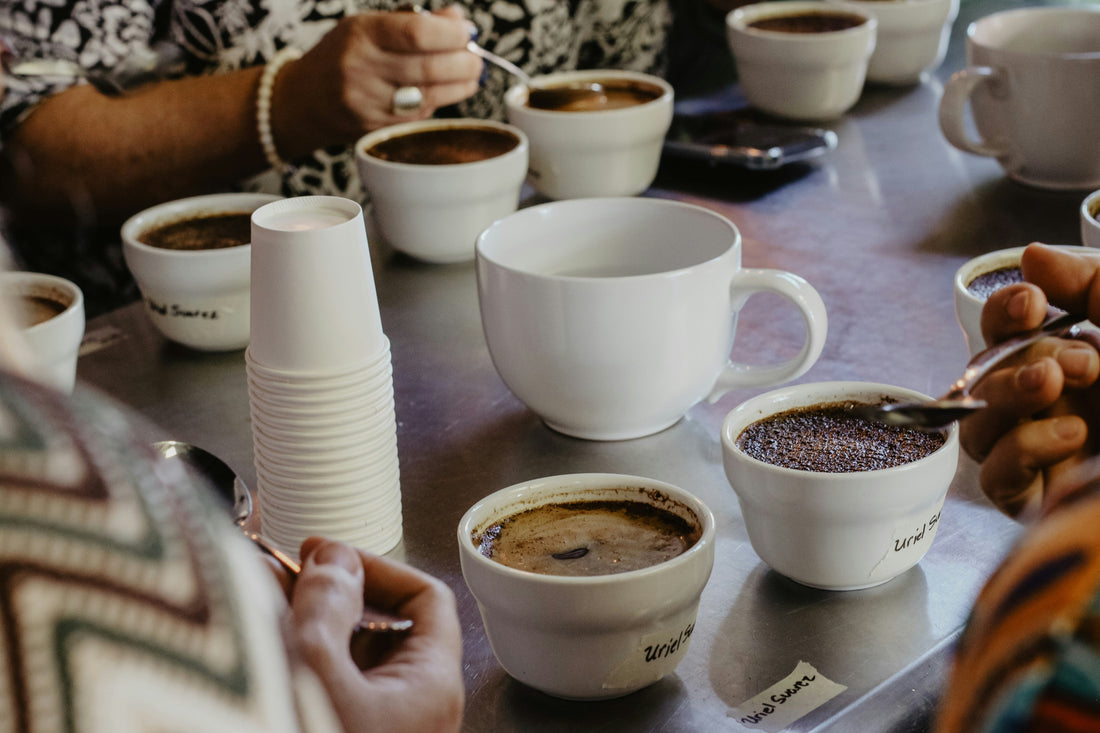 How to Taste Coffee Like a Professional: A Home Cupping Guide for Beginners