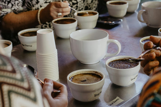 How to Taste Coffee Like a Professional: A Home Cupping Guide for Beginners