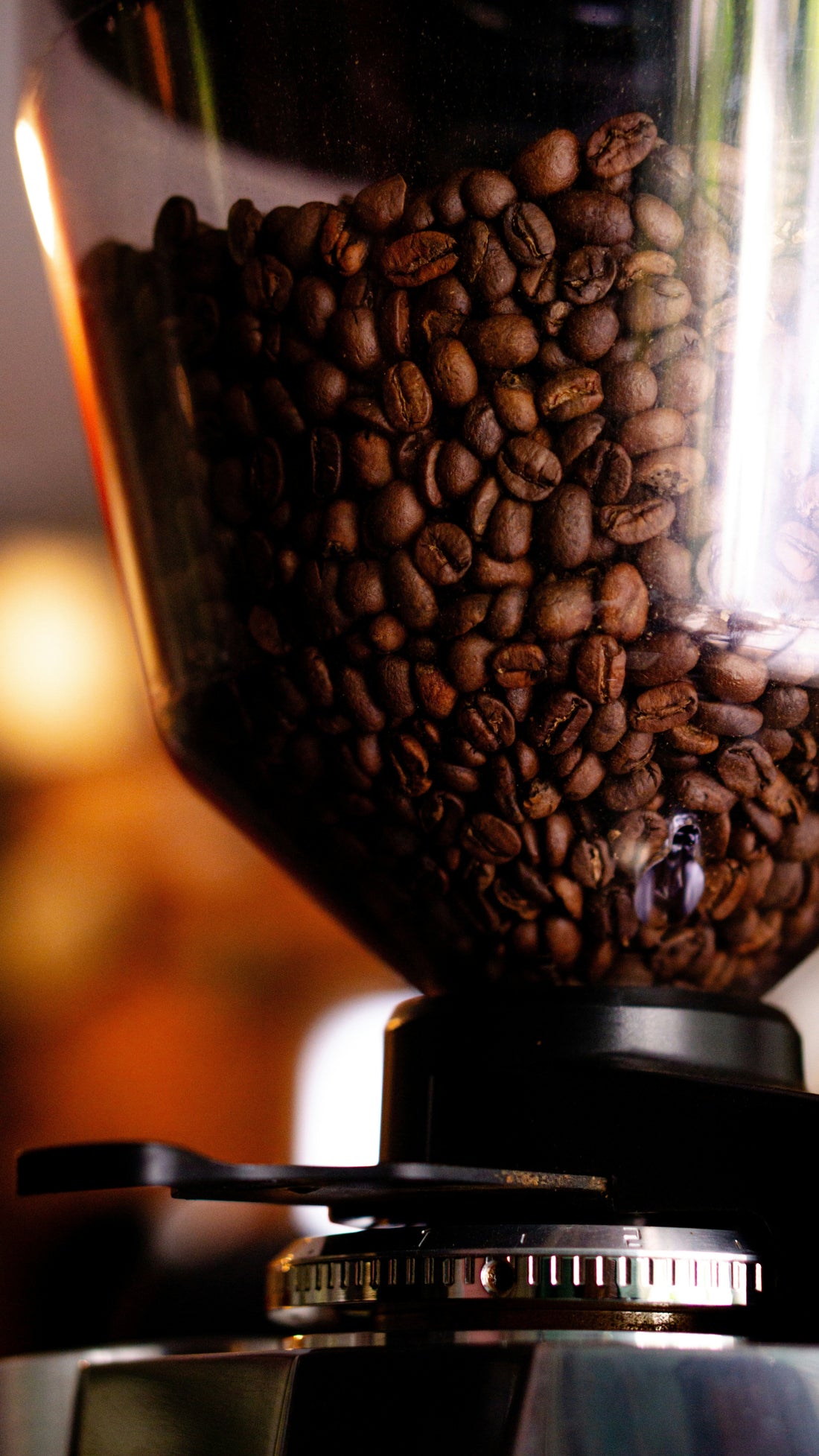 Burr vs. Blade Grinder: The Definitive Comparison That Explains Why Burr Wins Every Time
