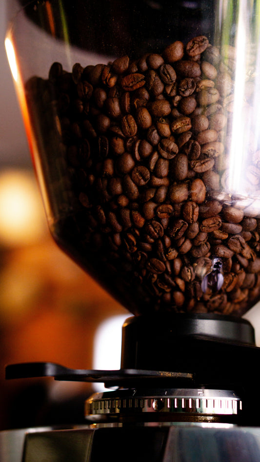 Burr vs. Blade Grinder: The Definitive Comparison That Explains Why Burr Wins Every Time